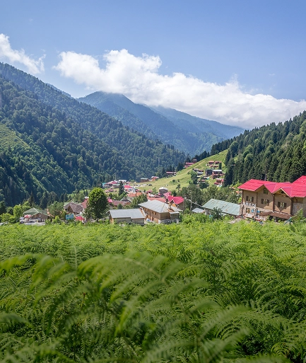 Ranikhet