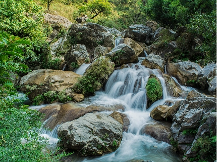 Waterfall flowing over rocks in a green forest