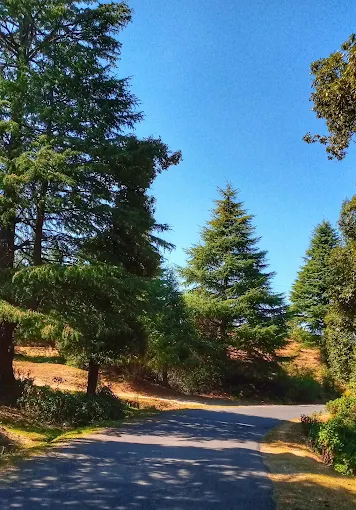 Bhalu Dam, near Xomotel Ranikhet Heights