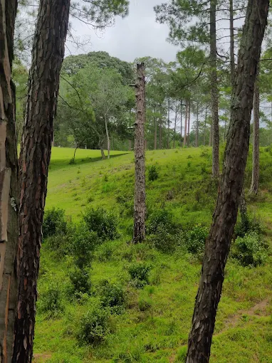 Golf Ground Ranikhet, near Xomotel Ranikhet Heights