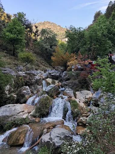 Mossy Falls, near Luxury Inn