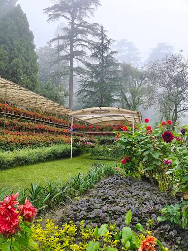 Atal Udhyan Mussoorie, near Kenilworth