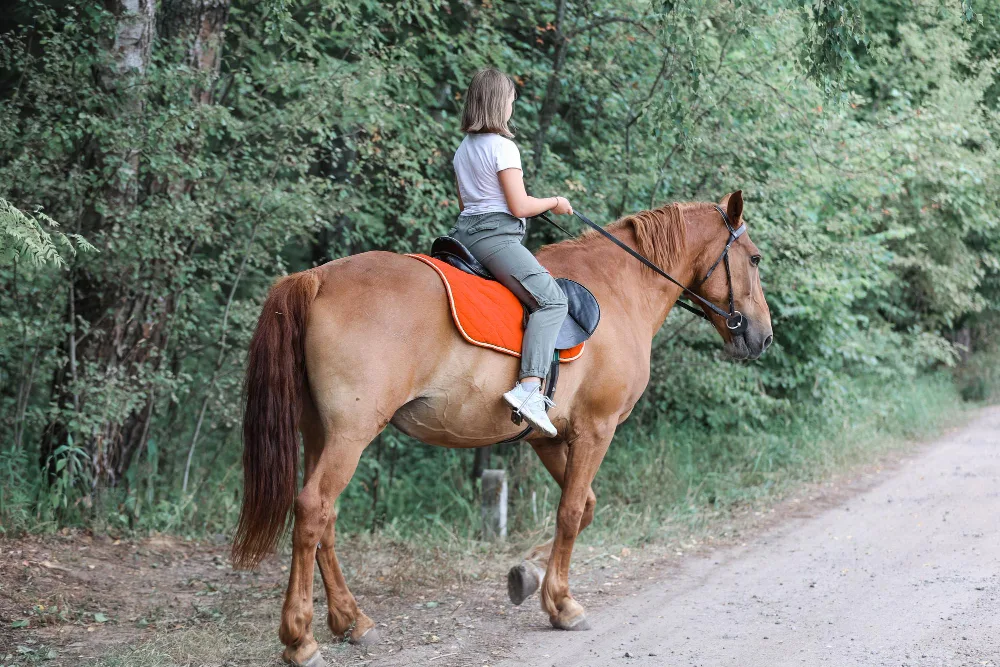 Horse riding along a forest trail near Nainital