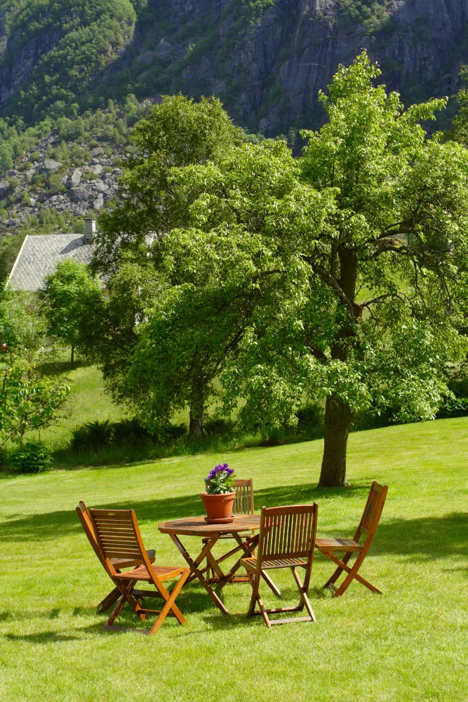 Wooden table and chairs on a green lawn under a tree