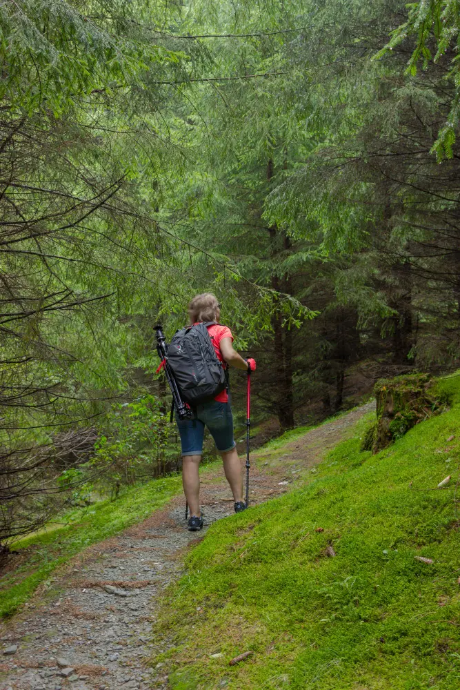 Guests enjoying Ranikhet
