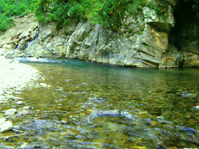 Camp Taapu Sera Dehradun - River
